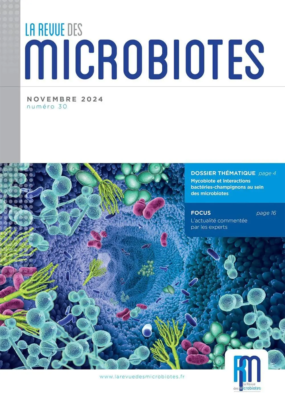 Mycobiota and bacterial fungal interactions within microbiota